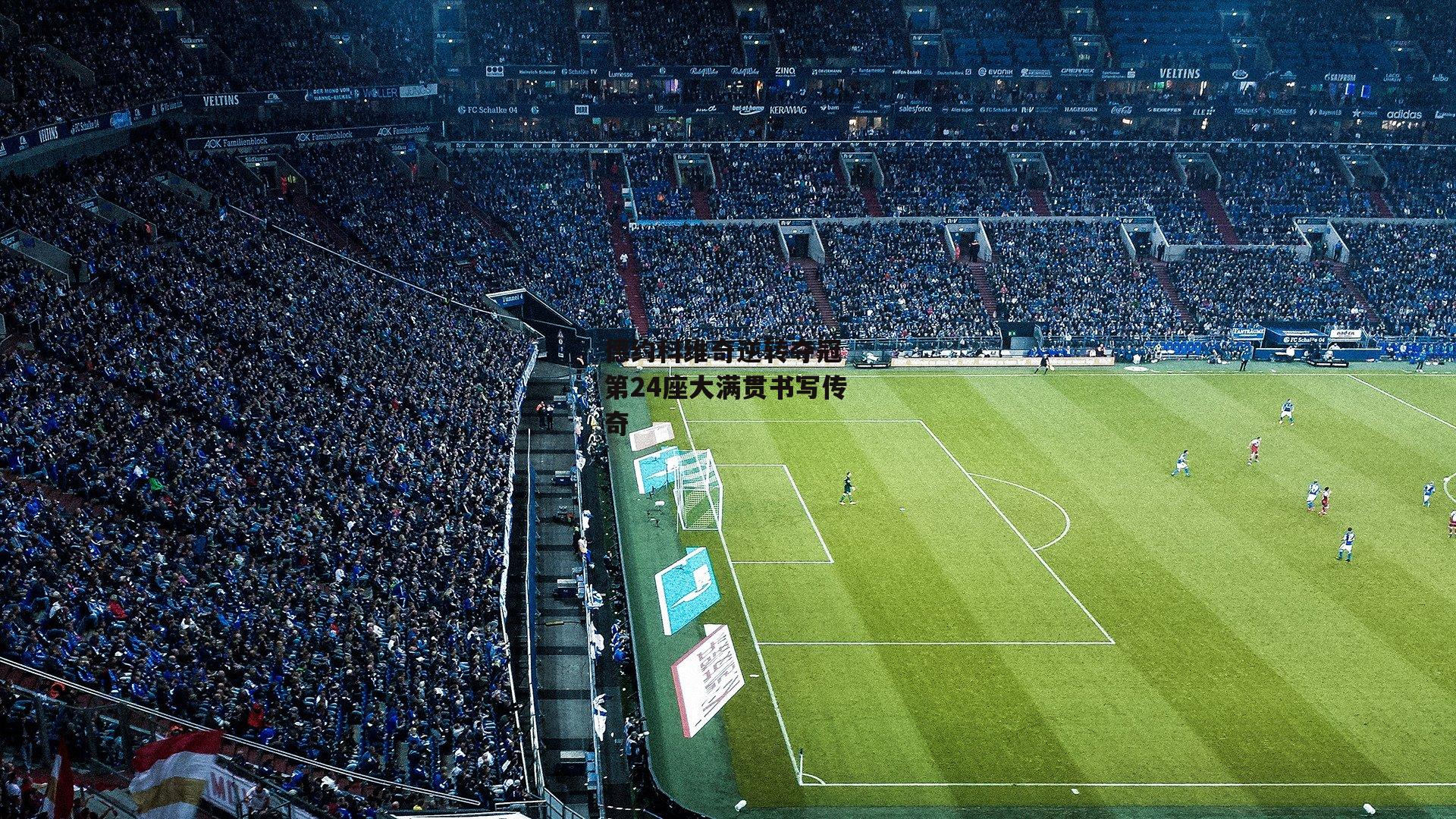 德约科维奇逆转夺冠 第24座大满贯书写传奇